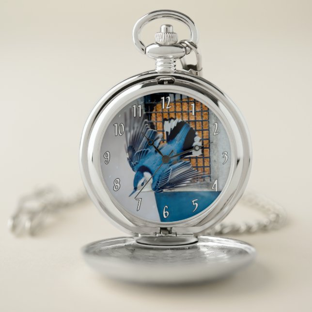White-Breasted Nuthatch in Snow Pocket Watch (Inside)