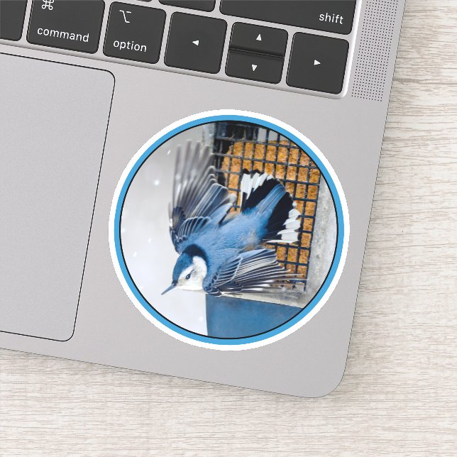White-Breasted Nuthatch in Snow Sticker (Detail)