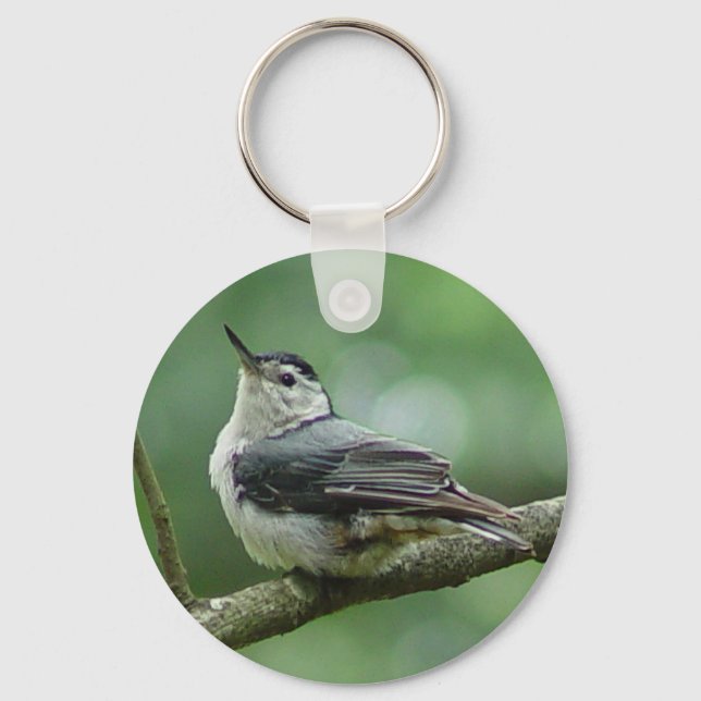 White Breasted Nuthatch Keychain 2 (Front)