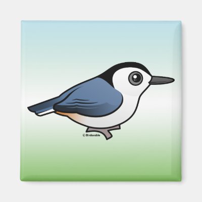 White-breasted Nuthatch Magnet