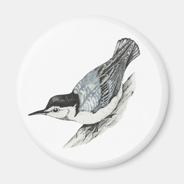 White Breasted Nuthatch Magnet (Front)