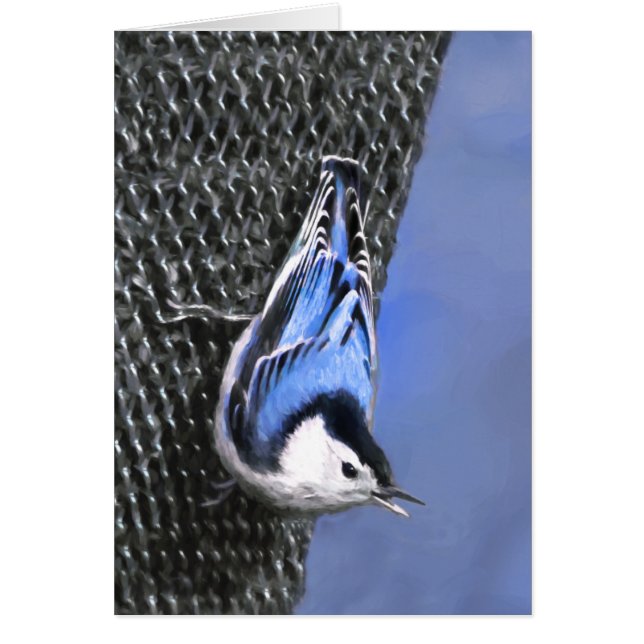 White-Breasted Nuthatch Painting Original Bird Art (Front)