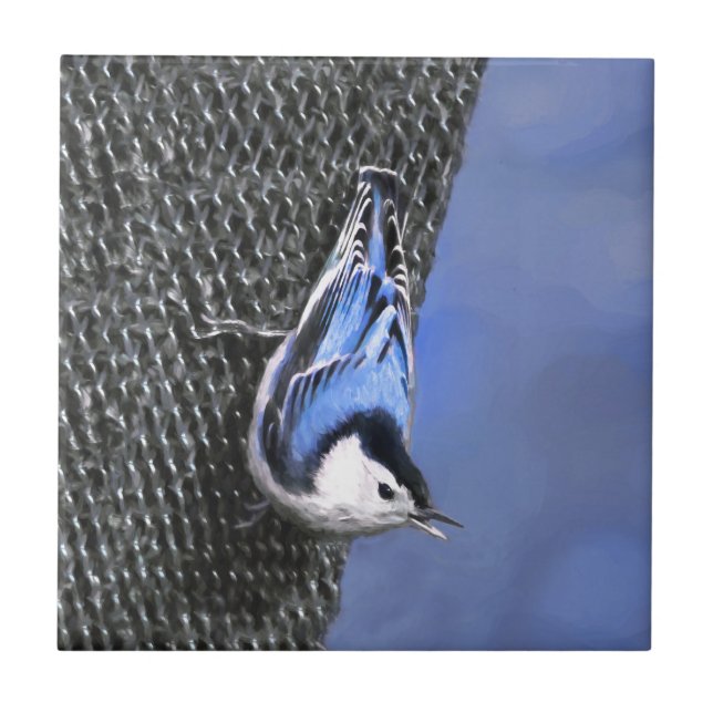 White-Breasted Nuthatch Painting Original Bird Art Ceramic Tile (Front)