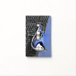 White-Breasted Nuthatch Painting Original Bird Art Light Switch Cover