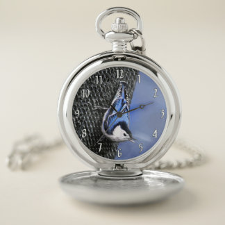 White-Breasted Nuthatch Painting Original Bird Art Pocket Watch