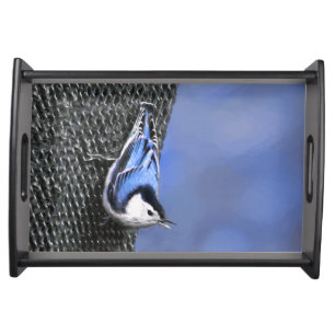 White-Breasted Nuthatch Painting Original Bird Art Serving Tray