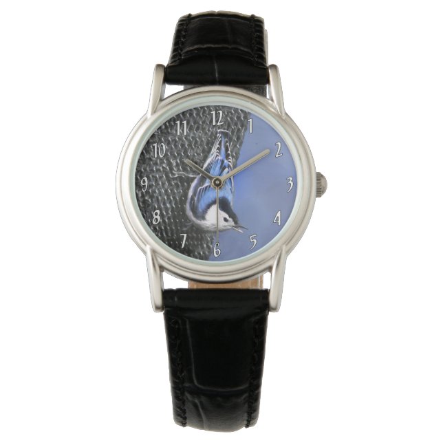 White-Breasted Nuthatch Painting Original Bird Art Watch (Front)