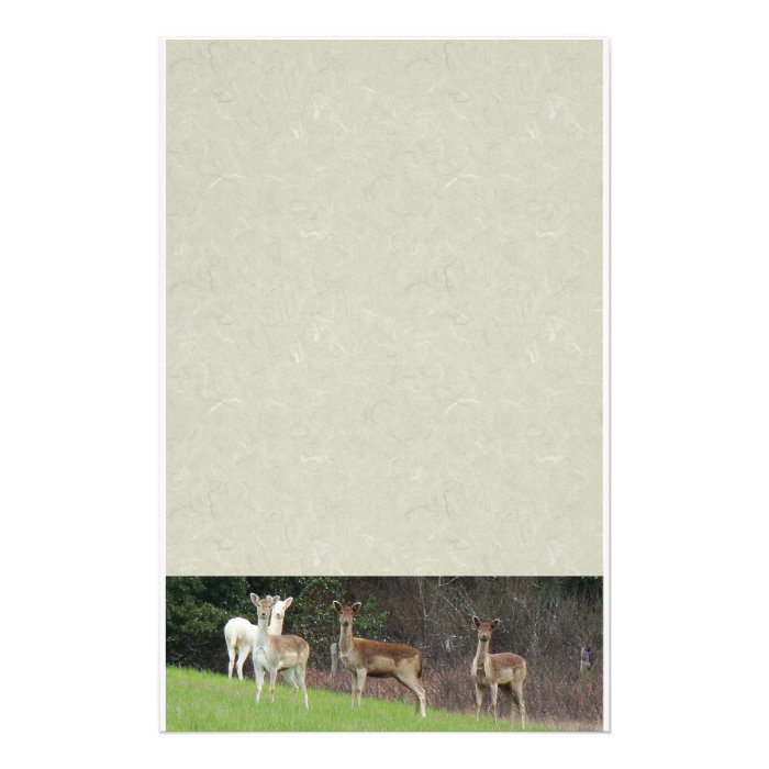 White & Brown Deer Stationery