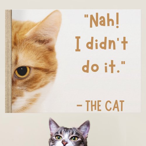 White Brown Funny Cat Meme Relatable Moment Postcard