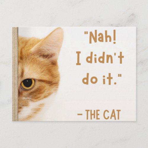White Brown Funny Cat Meme Relatable Moment Postcard
