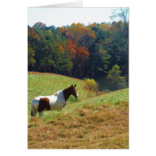 White & Brown horse, Autumn pond (Front)