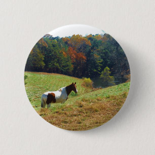 White & Brown horse, Autumn pond Button