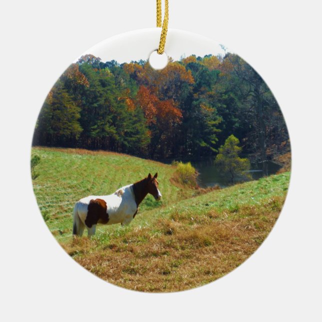 White & Brown horse, Autumn pond Ceramic Ornament (Front)