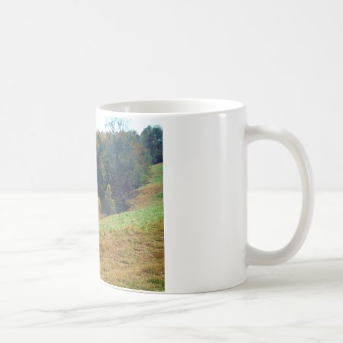 White  Brown horse Autumn pond Coffee Mug