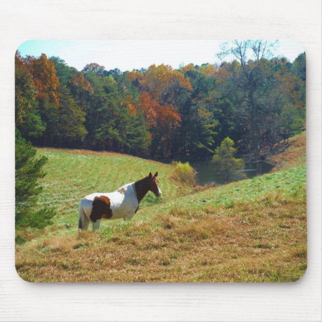 White & Brown horse, Autumn pond Mouse Pad (Front)