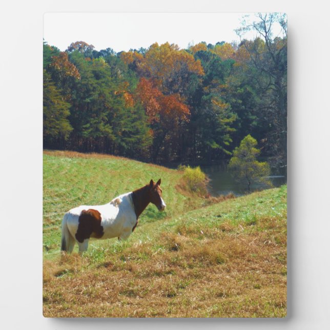 White & Brown horse, Autumn pond Plaque (Front)