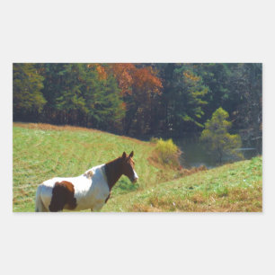 White & Brown horse, Autumn pond Rectangular Sticker