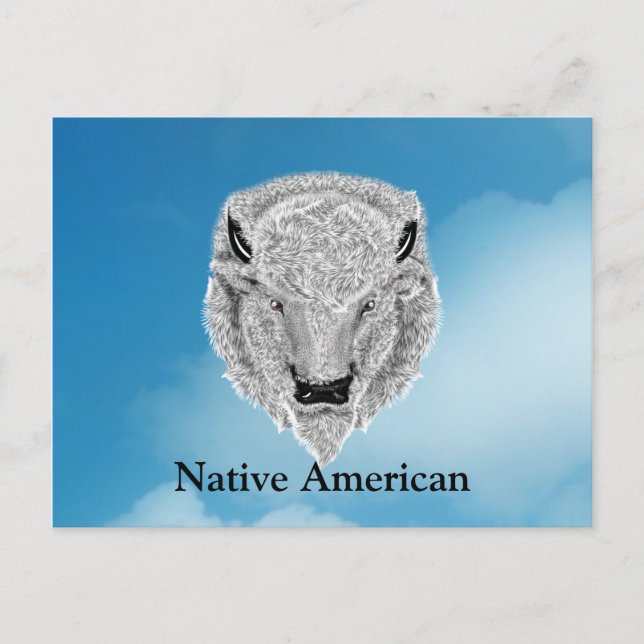 White Buffalo Head Postcard (Front)