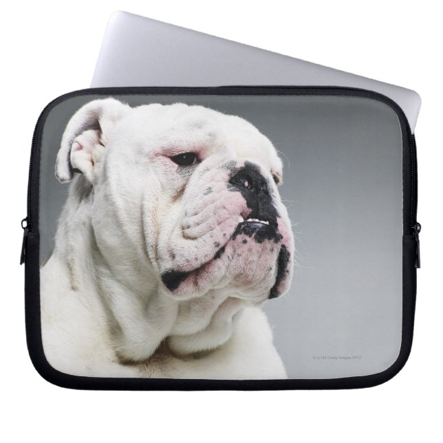 White Bull dog Laptop Sleeve (Front)