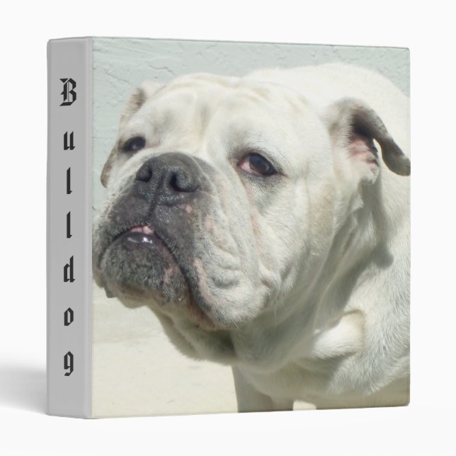 White bulldog binder (Front/Spine)