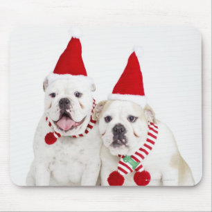 White bulldogs mouse pad