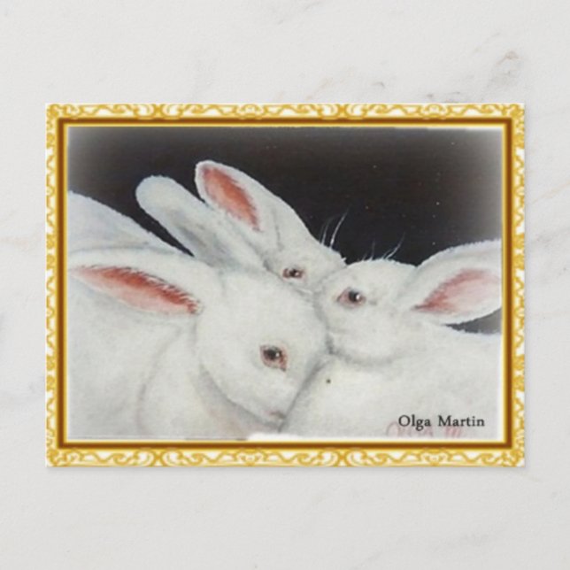 White Bunny Rabbit Postcard (Front)