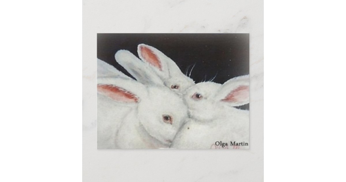 White Rabbit Postcard White Bunny Rabbit Postcard | Zazzle