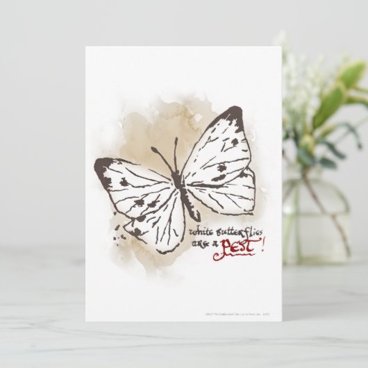 White Butterflies are a Pest (Standing Front)
