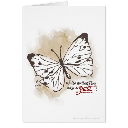 White Butterflies are a Pest Cards (Front)