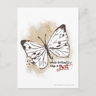 White Butterflies are a Pest Postcard
