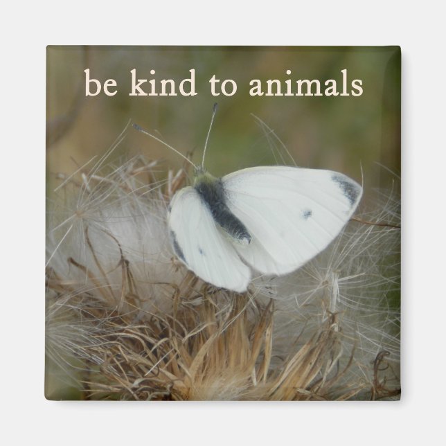 White Butterfly "Be Kind to Animals" Magnet (Front)