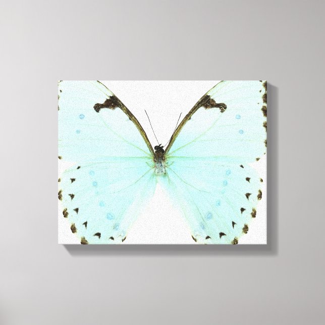 White butterfly canvas print (Front)