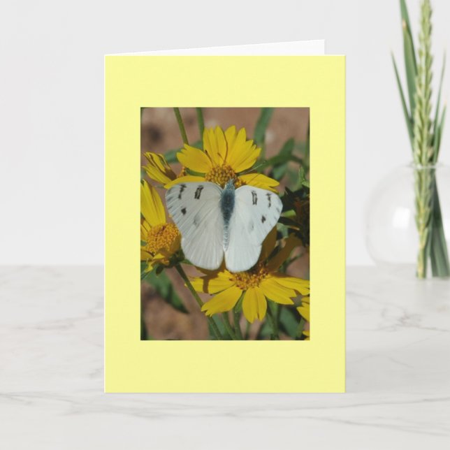 WHITE BUTTERFLY CARD (Front)