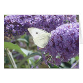 White Butterfly Card (Front Horizontal)