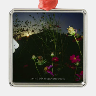 White Butterfly in flight at sunset Metal Ornament