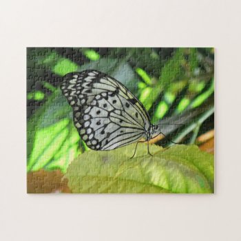 White Butterfly Jigsaw Puzzle by hawkysmom at Zazzle