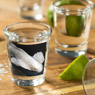 White Butterfly Koi Photo Shot Glass
