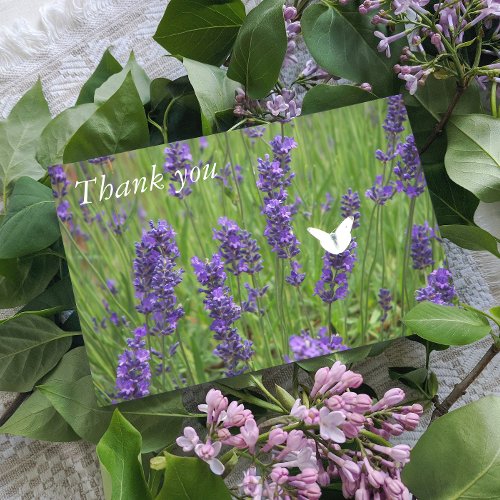 White Butterfly on Lavender Floral Thank You Card