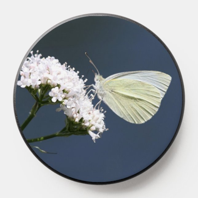 White Butterfly PopSocket (Popsocket)