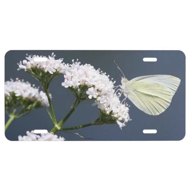 White Butterfly With Flowers License Plate (Front)