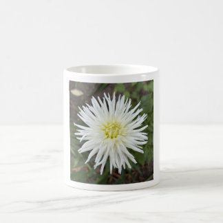 White Cactus Dahlia Floral Mug