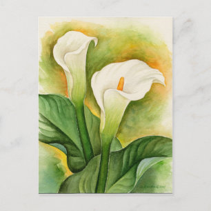 White Cala Lily Floral Watercolor Postcard