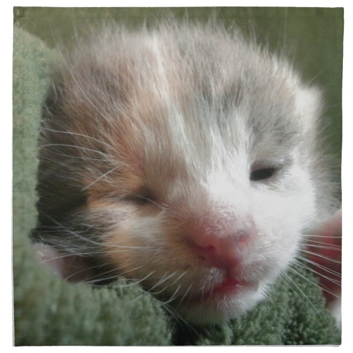 White Calico Kitten Cloth Napkin