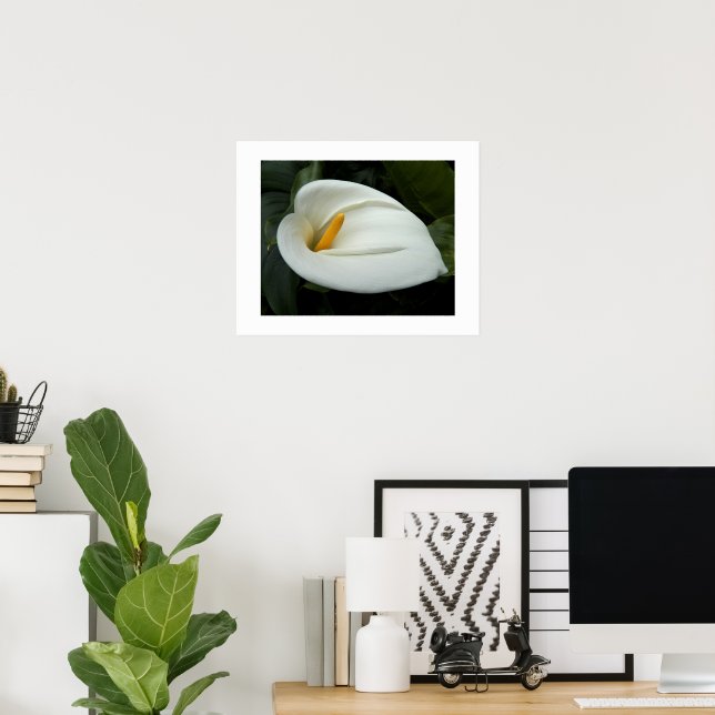 White Calla Bloom Lily Floral Poster (Home Office)