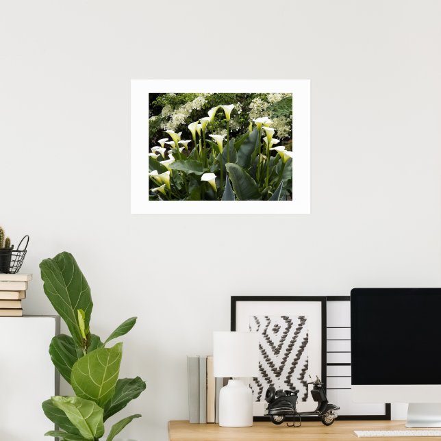 White Calla Lilies Floral Poster (Home Office)