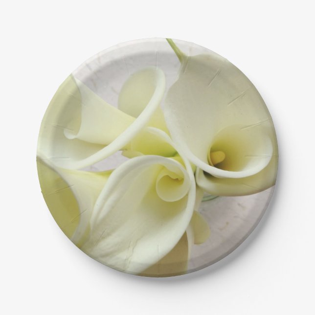 White calla lilies from above paper plates (Front)
