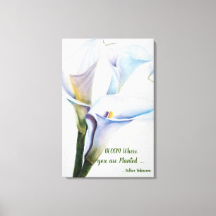 White Calla Lilies in Watercolors Canvas Print