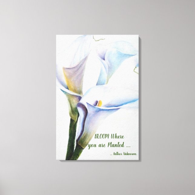White Calla Lilies in Watercolors Canvas Print (Front)