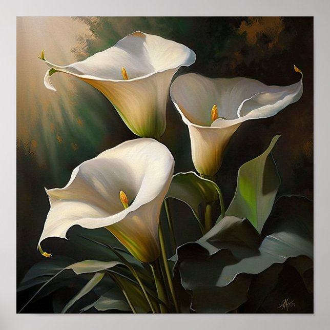 White Calla Lilies Lily Flower Art Print Poster (Front)