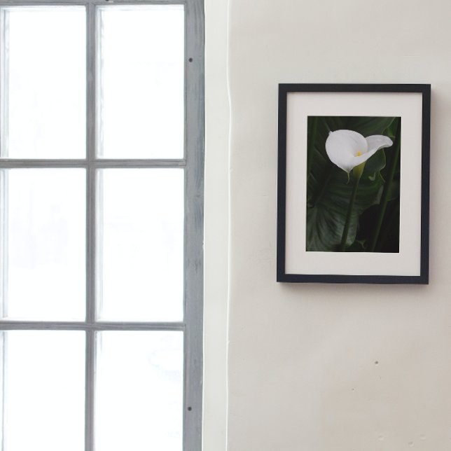White Calla Lily and Dark Leaves Floral Photo Print (In Situ Framed)